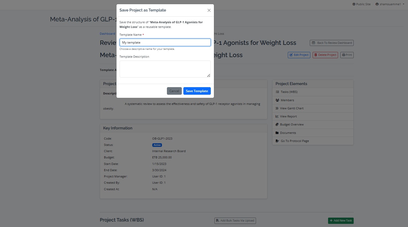 The modal window for saving a project as a new template.